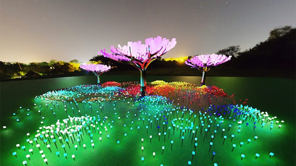 Colorful tree light display in Golden Gate Park