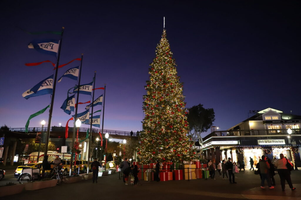 Pier 39 Christmas light show and decorated tree on the waterfront