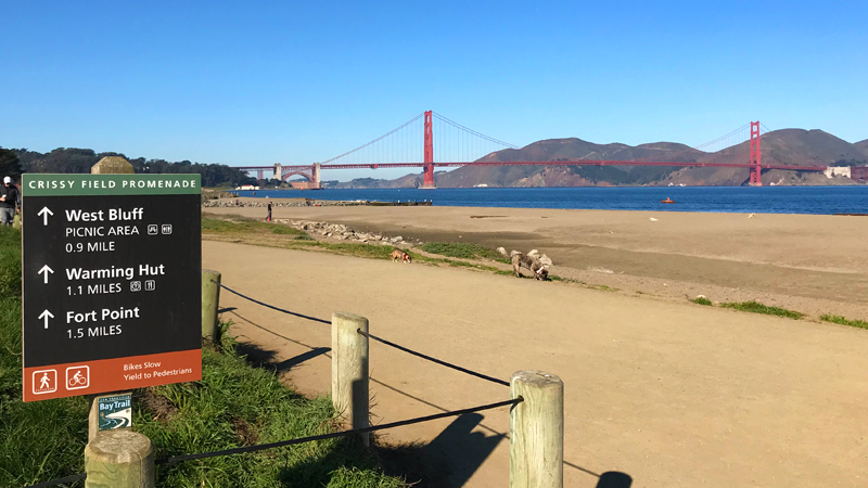 Crissy Field beach with families and dogs on a sunny summer day