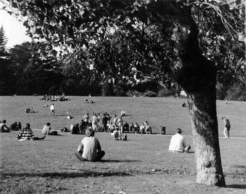 Crowds gathered at Hippie Hill with musicians and free-spirited vibes.