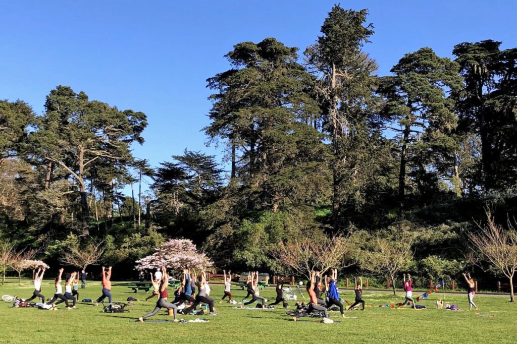 Outdoor yoga in Golden Gate Park with lush greenery.