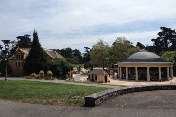 Picnic and Play at Robin Williams Meadow