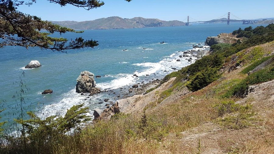 Rocky cliffs and wildflowers overlooking the Pacific Ocean at Lands End.