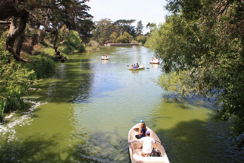 Stow Lake with rowboats on a calm morning.