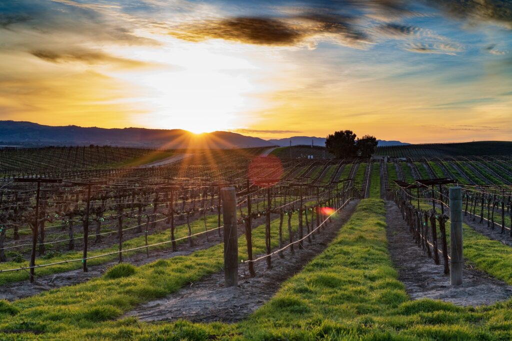 Sunset over Napa Valley vineyards Labor Day weekend getaways near San Francisco