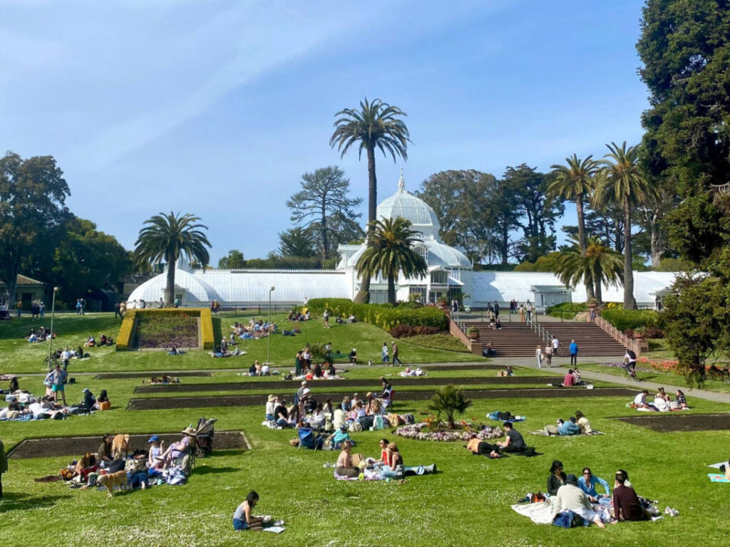 Visitors enjoying a sunny afternoon in Golden Gate Park during summer