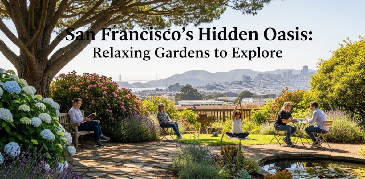 🌿 Relaxing Gardens in San Francisco: The Best Green Escapes in the City