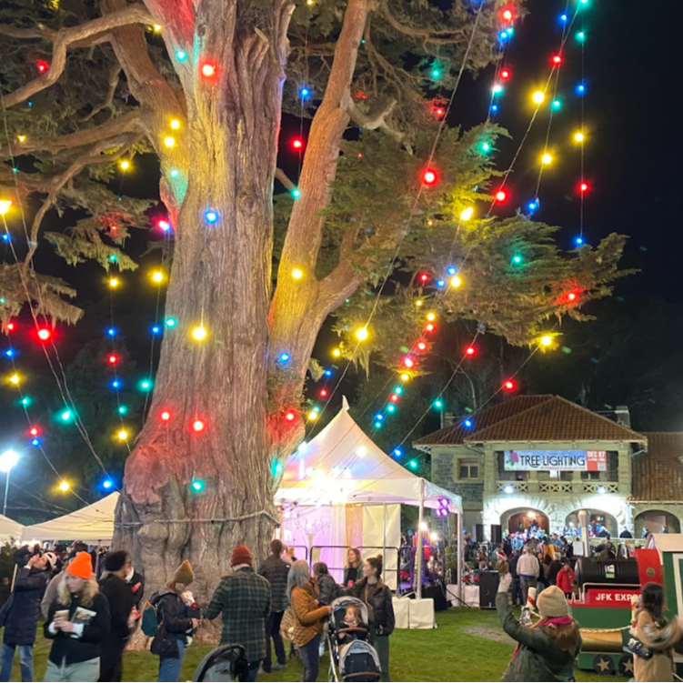 Golden Gate Park holiday tree lighting 2025